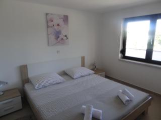 Modern island apartment with pool 80 meters from the sea A - Ždrelac - 1