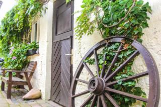 Likedeeler 6 - Zingst - 1