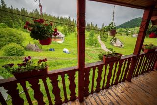 Cabana Creț - Ocoale - 1