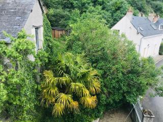Gîte Ecrin d'Artiste - Villaines-les-Rochers - 8