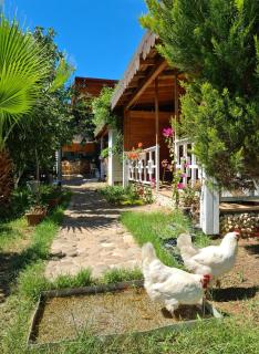 Flora Pansiyon Çıralı - Kemer - 3
