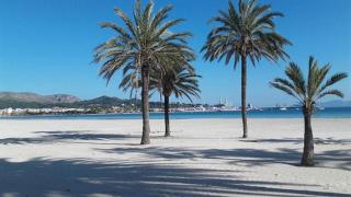 VILLA BERNA - Alcúdia - 3