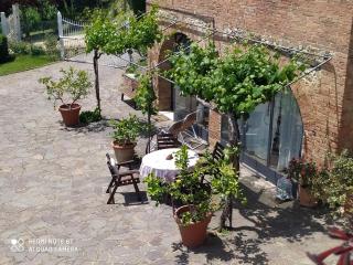 Vignano40 - Siena - 6