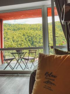 Relax Apartment Sinaia - Sinaia - 3