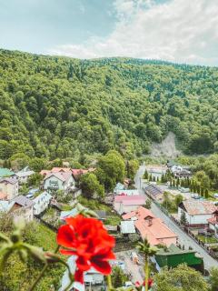 Relax Apartment Sinaia - 2
