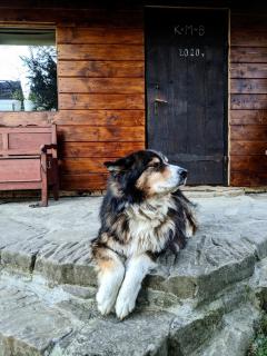 Pokoje u Agnieszki - 4