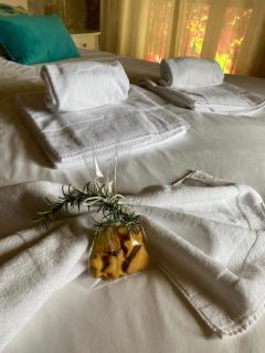 Agroturismo Can Guillo - Pollença - 4