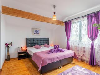 Casuta cu Trandafiri - Slănic - 5