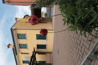 Ca' Gialla - Montagnana - 6