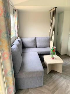 MOBILHOME 3 CH CAMPING 4* - Onzain - 1