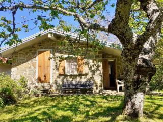 Borgo Castelluccio Country House - Porretta Terme - 3