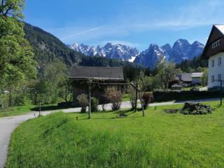 Ferienwohnungen Asterbach - Gosau - 6