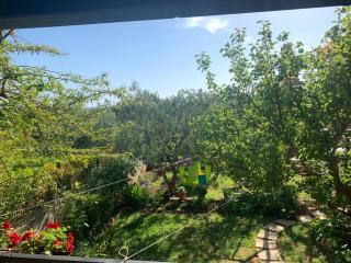 Apartman Dalija - Vinkuran - 9