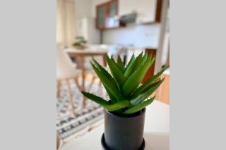 Cozy Apartment Umag - Umag - 9