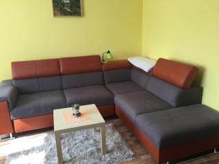 Cały apartament nad jeziorem - Drawno - 0