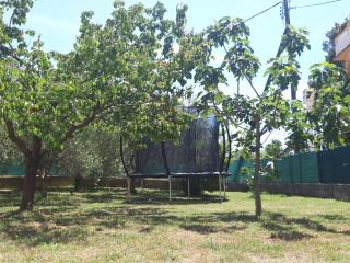 Kuća za odmor L&L - Bibinje - 4