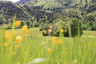 Rait´ner Wirt - Schleching - 2
