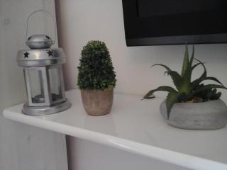 Studio Apartment in Hvar Town with Terrace, Air Conditioning, Wi-Fi, Dishwasher (4858-4) - Hvar (Lesina) - 6