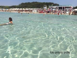 Villetta STOZZA Fior di Loto Baia Verde Gallipoli - 3