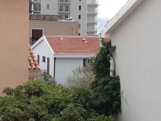Cozy 1 bedroom flat near Petrovac beach - 2