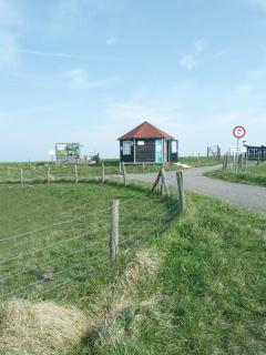 Zeeuwse Zot - Wissenkerke - 5