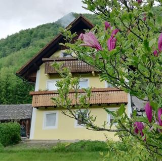 Apartment House Andrej - 4