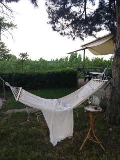 Belegis Villa - Stari Banovci - 3
