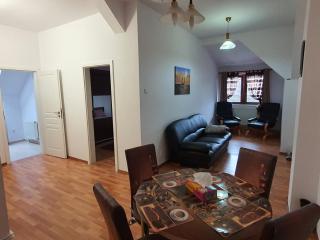Diane's Apartament - Sibiu - 8