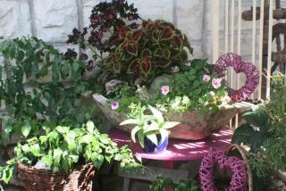 Apartment Bol (3417-1) - 9