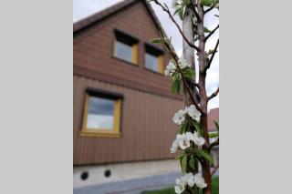 Harzhaus Ida - Elbingerode - 8
