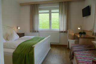 Pension Geissler-Reicher - 6