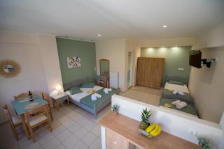 ELAIA - Apartments & Studios - Città di Lefkada - 8