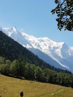 Appartement typique,chaleureux et pratique - Chamonix-Mont-Blanc - 8