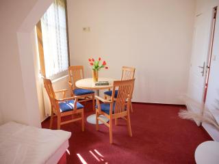 Penzion a restaurace U Červinků - 8