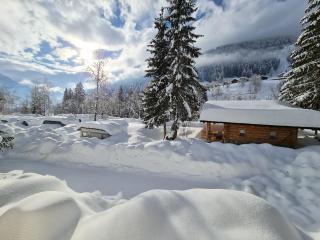 Camping Gasthof Zirknitzer - Grosskirchheim - 6