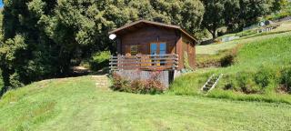 Casa Sarrinca - Serra-di-Scopamene - 7