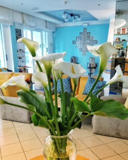 Hotel Adria B&B - Colazione fino alle 12 - Misano Adriatico - 3