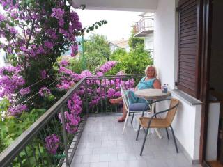 Vila Umicevic - 9