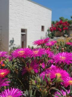 Trulli la casa di Rosa - 2