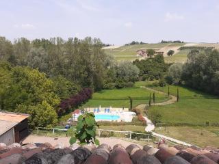 I Boidi - Nizza Monferrato - 9