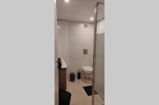 L'Estrade, appartement de standing en hyper-centre - Sarreguemines - 7