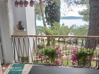 Vila Pinjola - Sveti Petar - 9