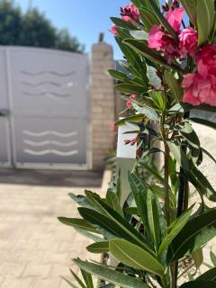 Villa Falconara - Noto Marina - 2