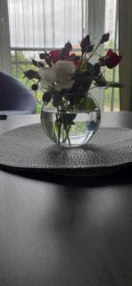 Jelica Apartment - 5