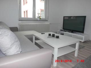 Frankfurt Airport & Fair Apartment - Kelsterbach - 8