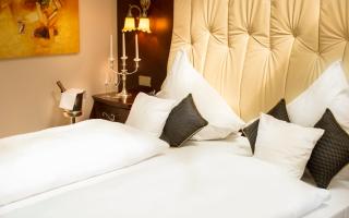 Residence Bellevue - Boppard - 3