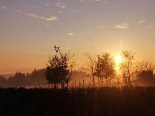 Ferienwohnung "Im Türmchen" inklusive WLAN, Parkplatz und Netflix - 3