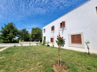 Apartments Leticia - Vrsi - 4