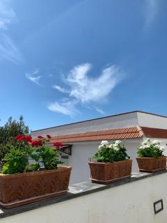La Casa Del Sole - Vico Equense - 3