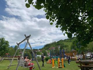 Restoran,,Vuk,, Tršić - Tršić - 9